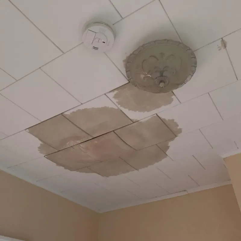 Ceiling Water Damage Repair in Texarkana, TX